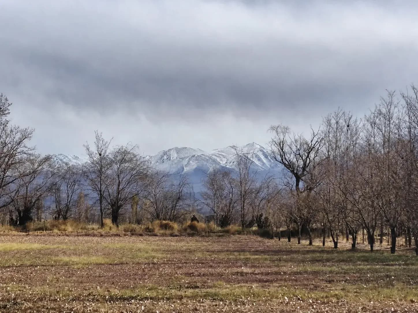 Vista de la Cordillera desde Los Membrillos Hospedaje