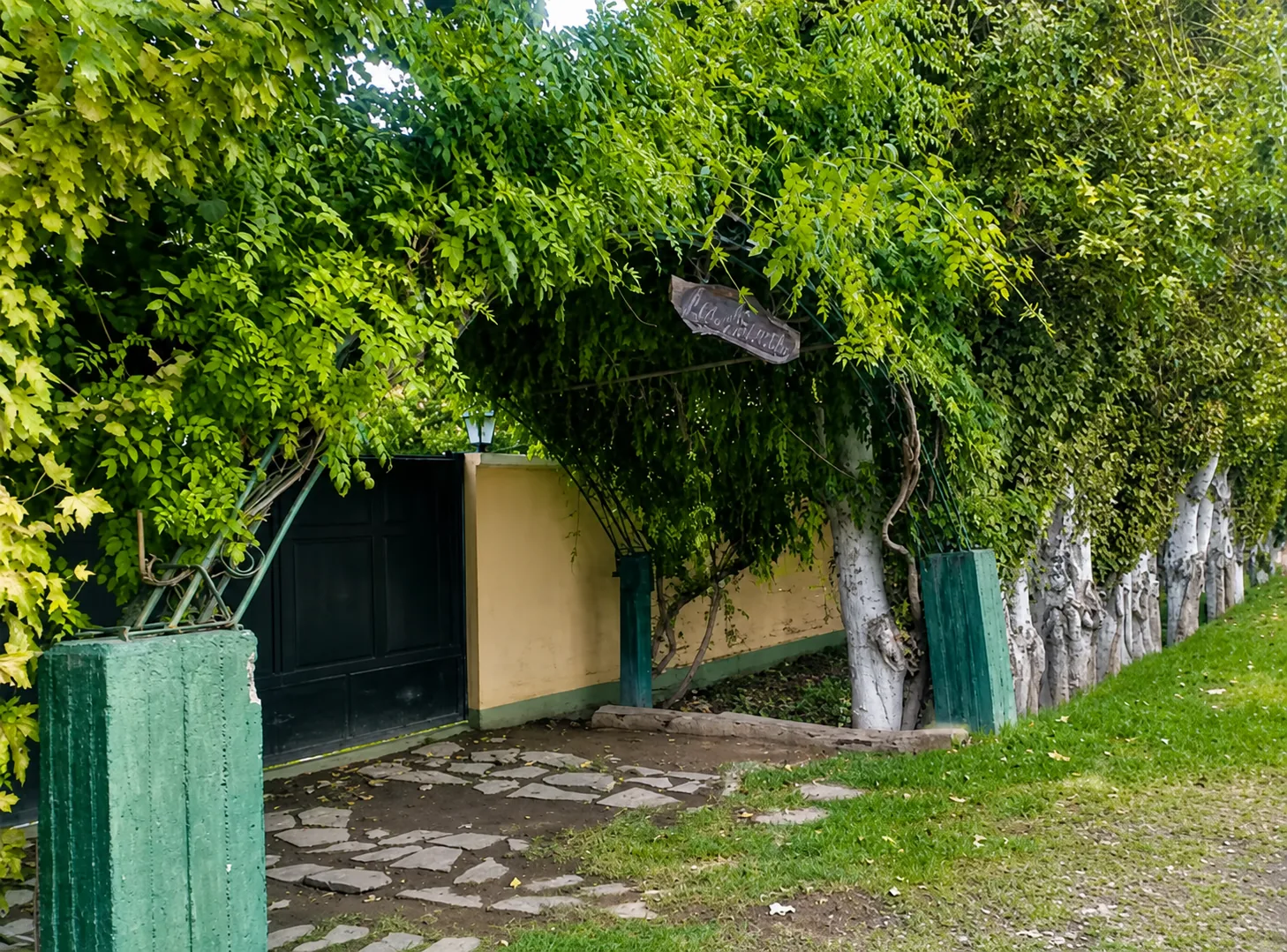 Acceso arbolado a Complejo Los Aromos