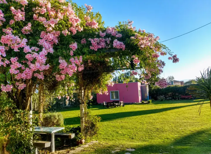 Parque florecido de Complejo Los Aromos