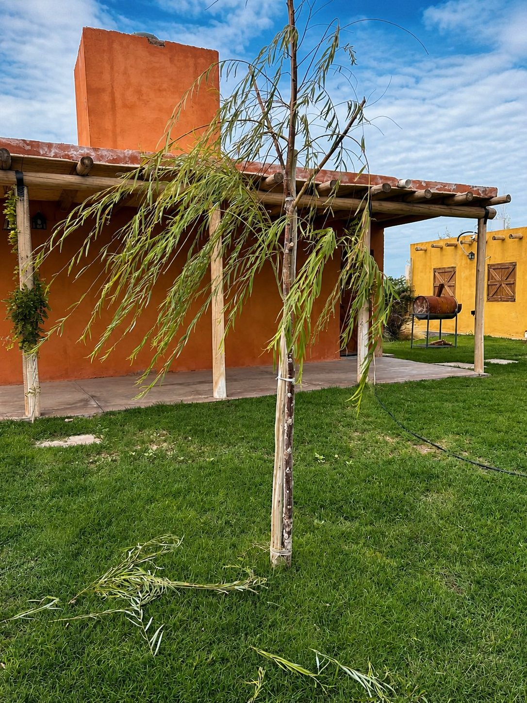 Sector exterior de los dormitorios de Complejo Rosa Oliva